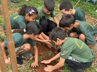 Imagem da notícia Rio Sucuriú recebe plantio de mudas de cerrado em ação de reflorestamento em Costa Rica